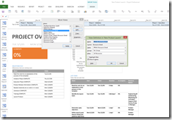 Microsoft project tables and views