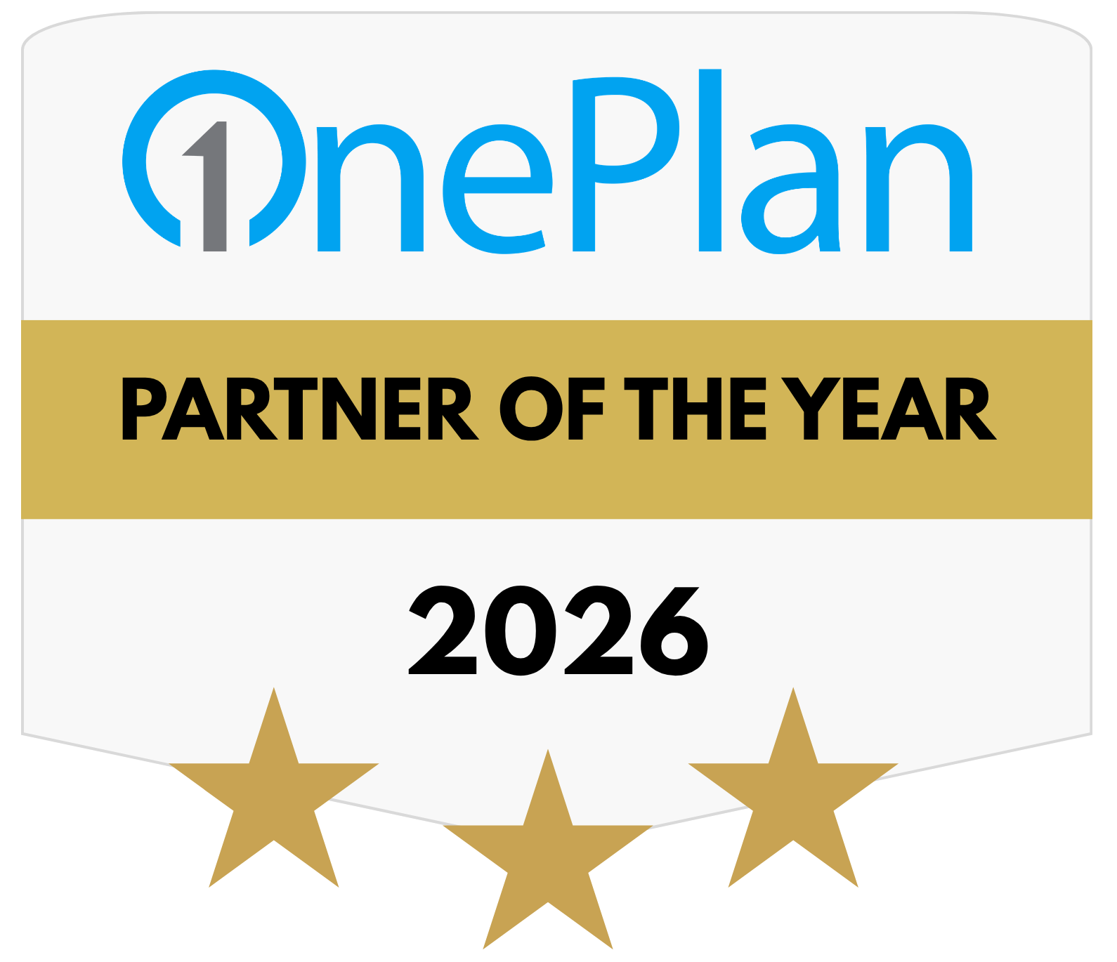 Partner of the Year